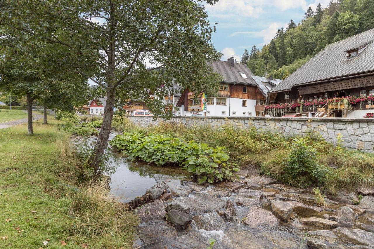 Am Wehrastrand App 2 Todtmoos Bagian luar foto